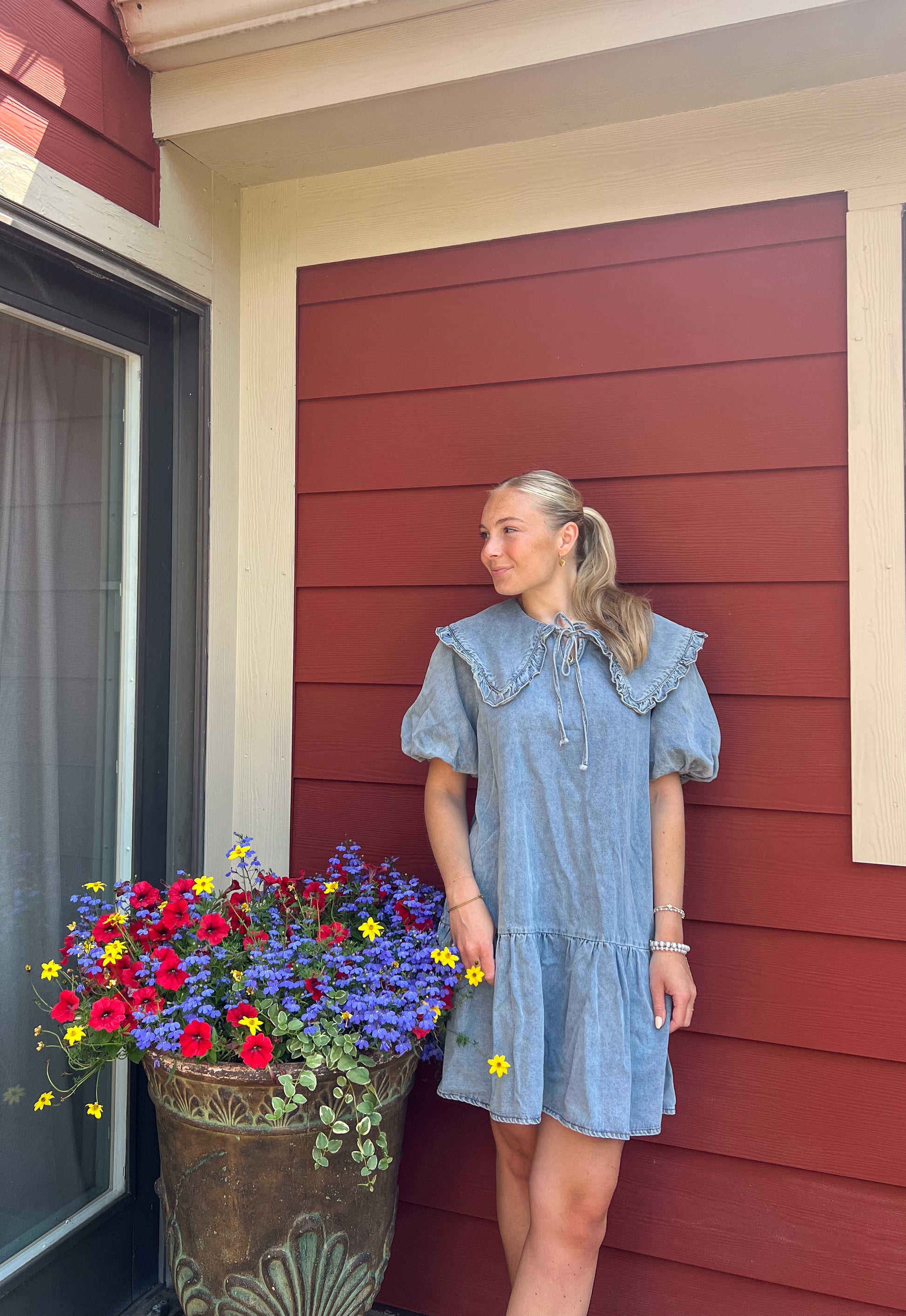 Miss Americana Denim Dress Miss Americana Denim Dress
