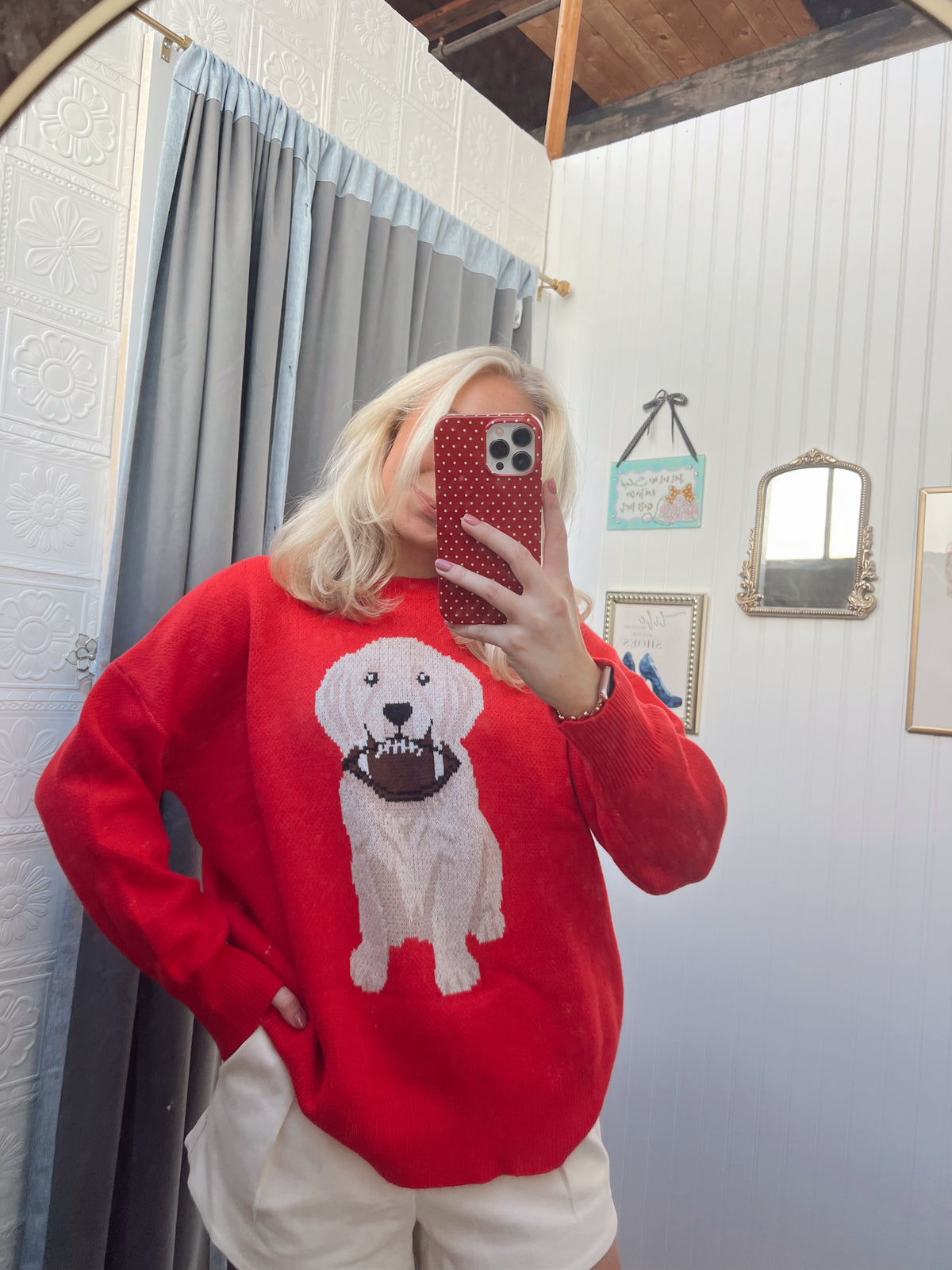 Gameday Puppy Sweater