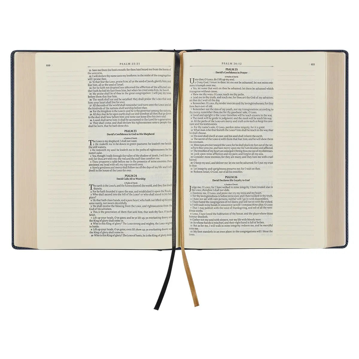 Navy W/ Gold Note-taking Bible